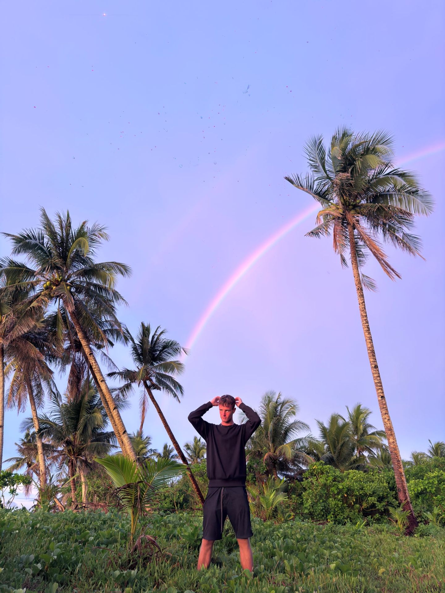 Rainbow between the palms, Juan & Lonely